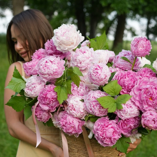 Изображение О нас