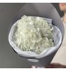 Белая Гортензия «Сливочное мороженое» 2