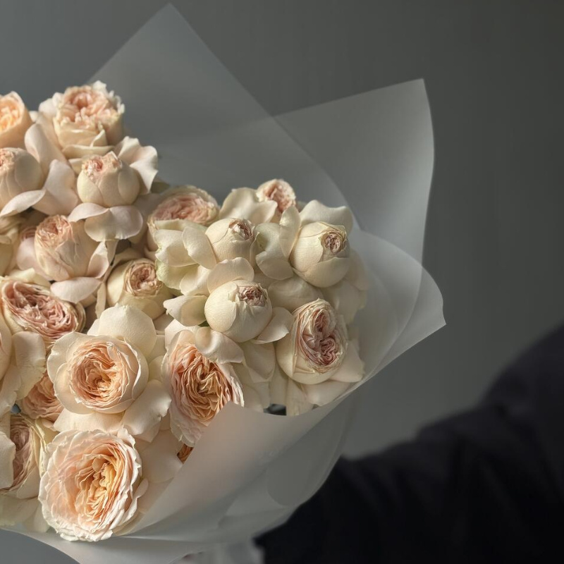 Кустовые пионовидные розы Pavlova 3