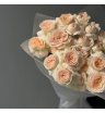 Кустовые пионовидные розы Pavlova 2