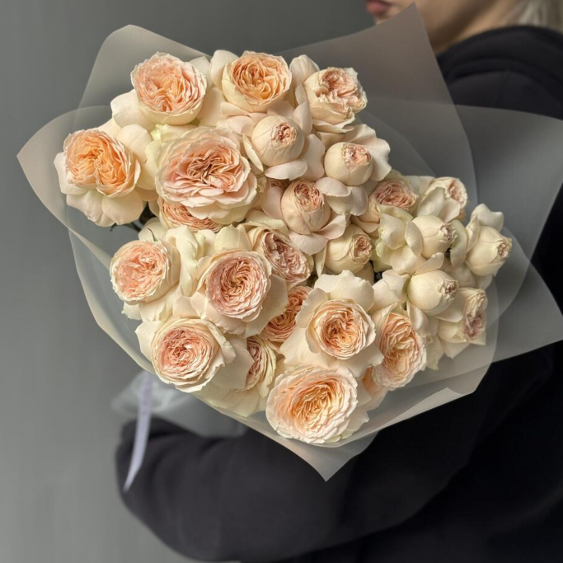 Кустовые пионовидные розы Pavlova