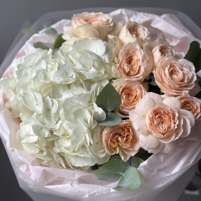 Белая гортензия и кустовая роза Pavlova 2