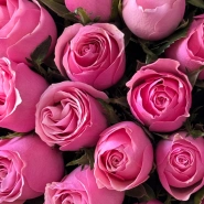 Моно букет Кенийская розовая роза 35шт 2