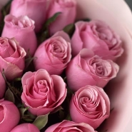 Розовая кенийская Роза 25шт 3