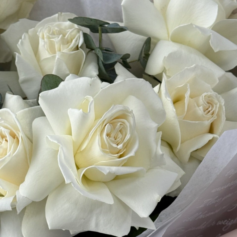 Белоснежные розы с эвкалиптом 