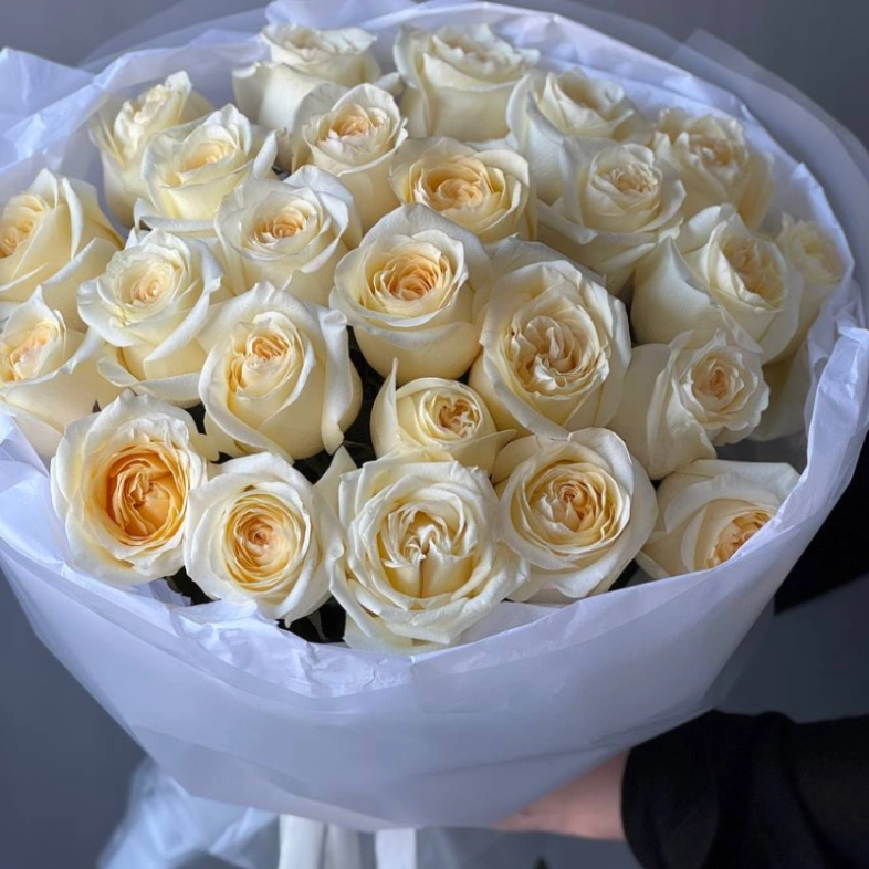 Розы Канделайт 25