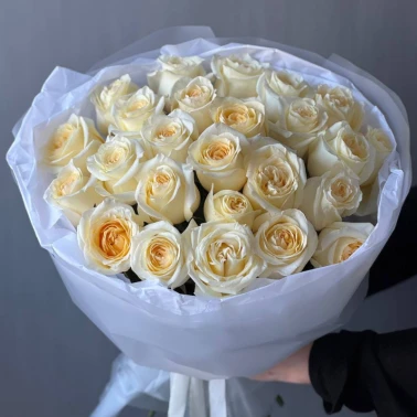 Розы кремовые сорта Канделайт 25шт