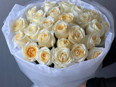 Розы Канделайт 25