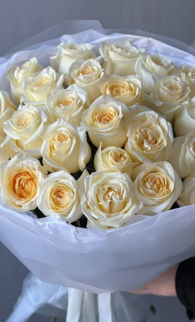 Розы Канделайт 25