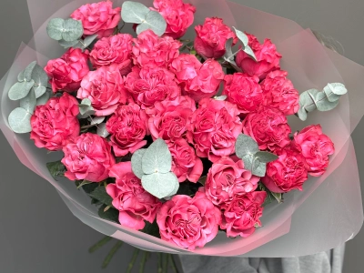 25 ярких роз сорта Кантри Блюз