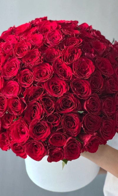 101 красная роза Кения в шляпной коробке 