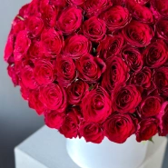 101 красная роза Кения в шляпной коробке  1