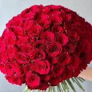 101 красная кенийская роза ХИТ 1