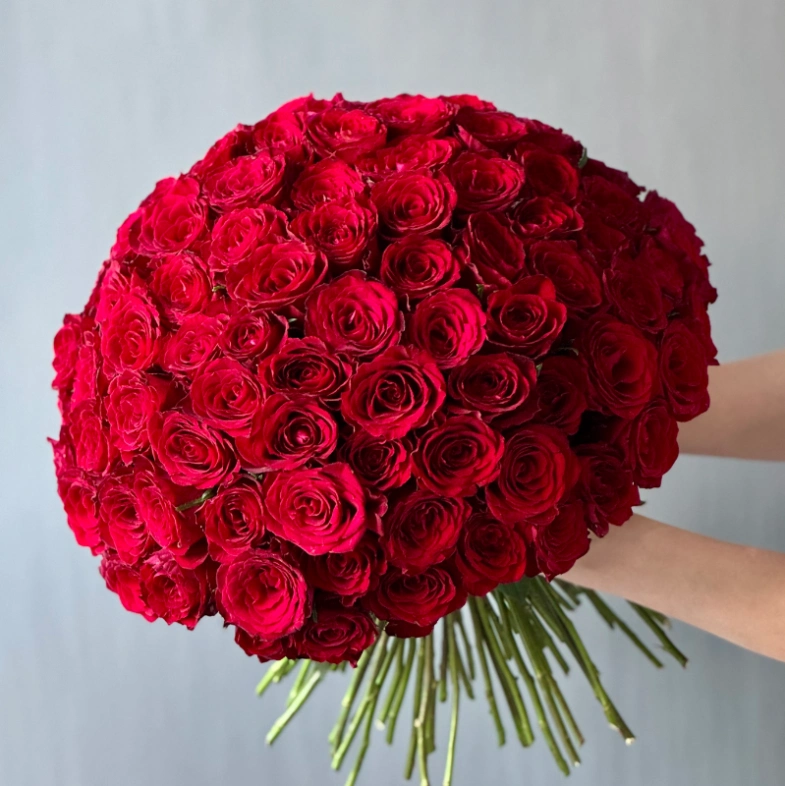 101 красная кенийская роза ХИТ