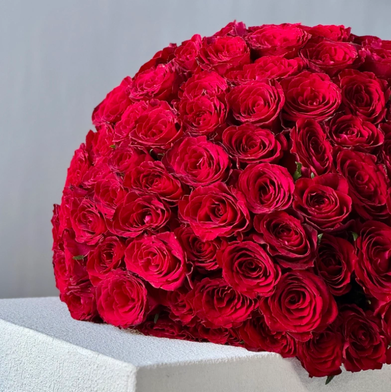 101 красная кенийская роза ХИТ