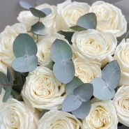 Букет 15 Плая бланка белая с эвкалиптом  3