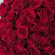 Монобукет 101 красная роза премиум  2