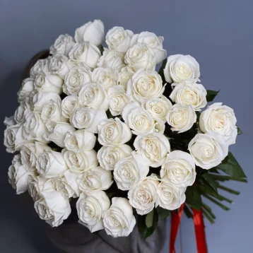 51 белая роза сорта плая бланка