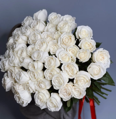 51 белая роза PLAYA BLANCA 