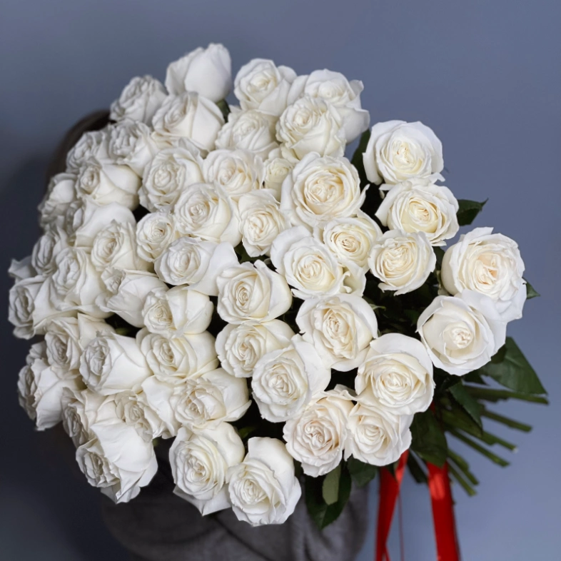 51 белая роза PLAYA BLANCA 