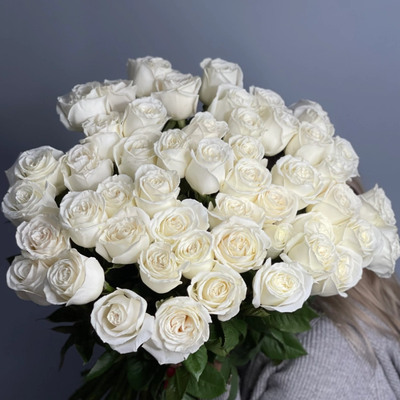 51 белая роза PLAYA BLANCA 