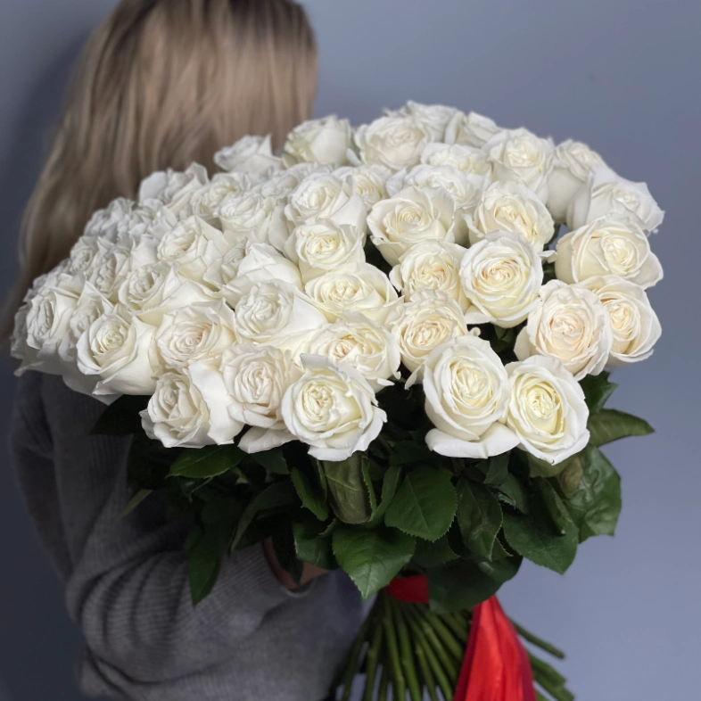 51 белая роза PLAYA BLANCA 