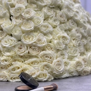 101 белая роза PLAYA BLANCA  2