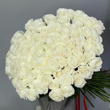 101 белая роза PLAYA BLANCA 