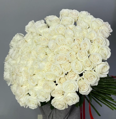 101 белая роза PLAYA BLANCA 