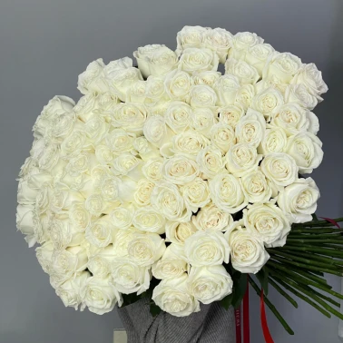 101 белая роза PLAYA BLANCA 