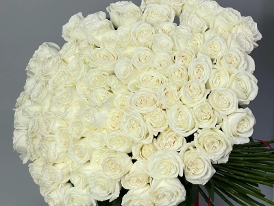 101 белая роза PLAYA BLANCA 