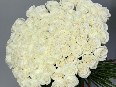 101 белая роза PLAYA BLANCA 
