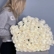 101 белая роза PLAYA BLANCA  1