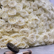 201 белая роза PLAYA BLANCA Эквадор  2