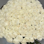201 белая роза PLAYA BLANCA Эквадор  3