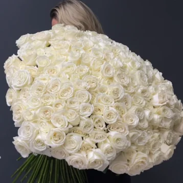 201 белая роза PLAYA BLANCA Эквадор 