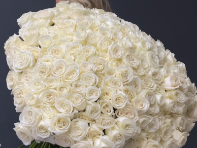 201 белая роза PLAYA BLANCA Эквадор 