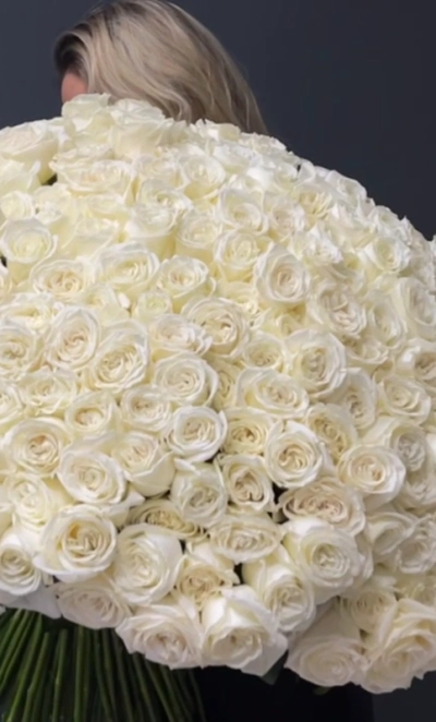 201 белая роза PLAYA BLANCA Эквадор 