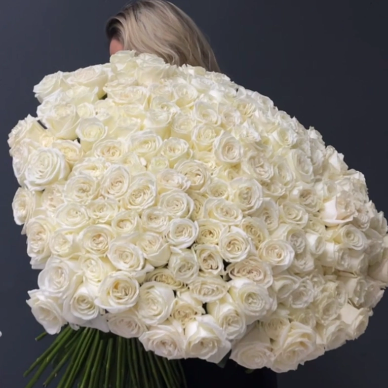 201 белая роза PLAYA BLANCA Эквадор 