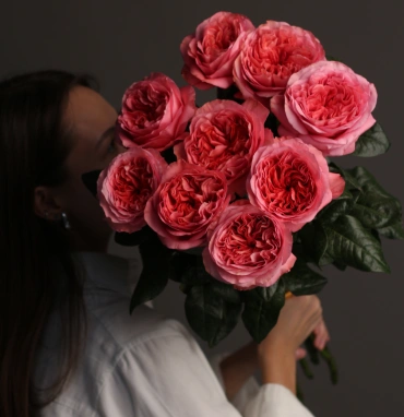 Роза 9 «Кенди экспрешн»