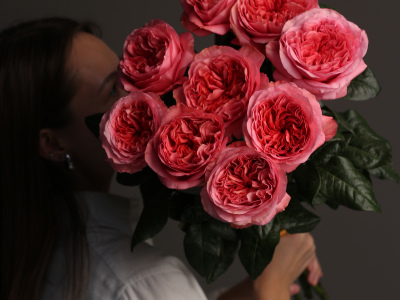 Роза 9 «Кенди экспрешн»