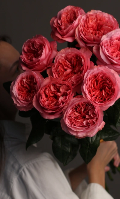 Роза 9 «Кенди экспрешн»