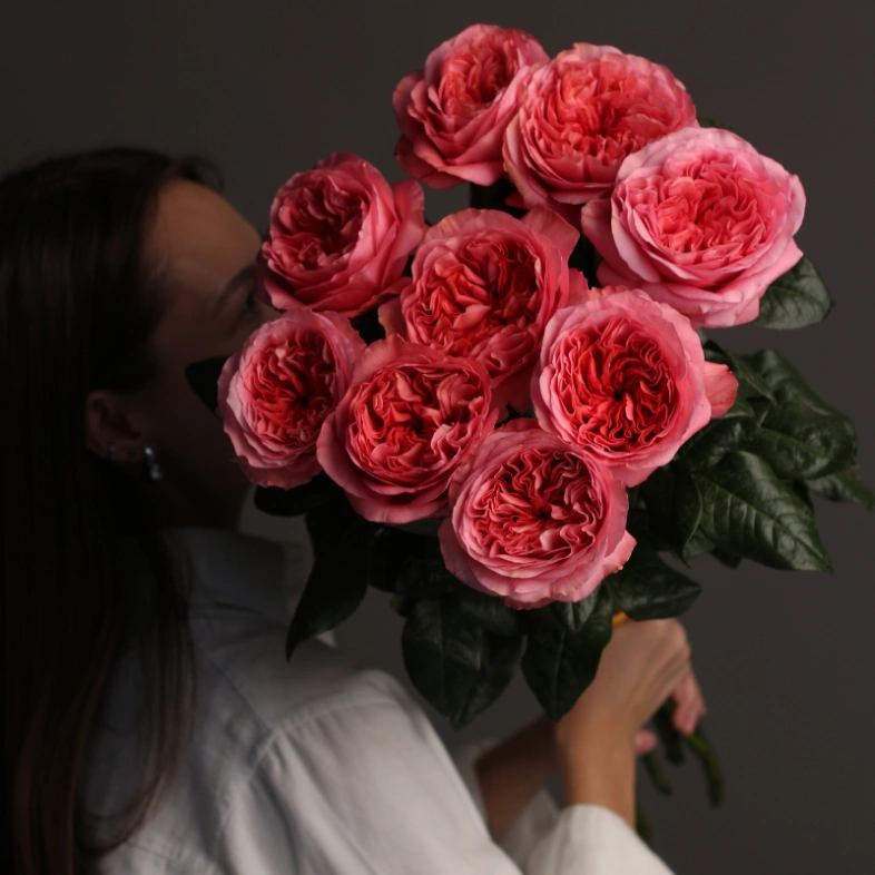 Роза 9 «Кенди экспрешн»