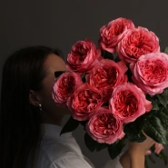 Роза 9 «Кенди экспрешн» 2