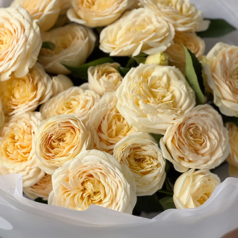 Букет цветов из кустовых роз «Изабелла» 7шт