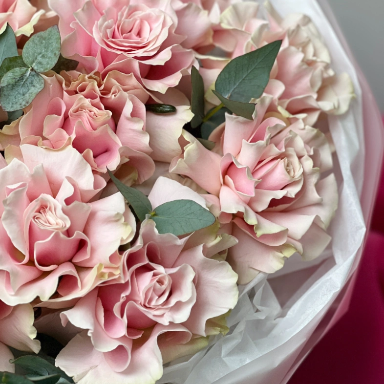 15 французских роз «Пинк Мондиаль»