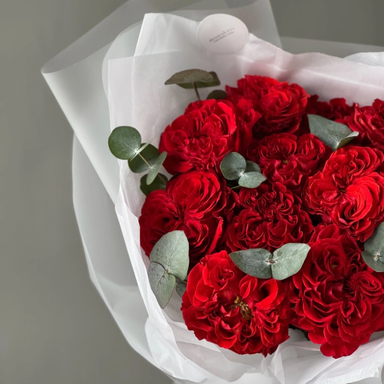 Пионовидные розы Ред Ай 11