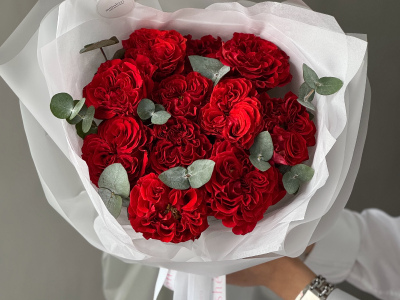 Пионовидные розы Ред Ай 11