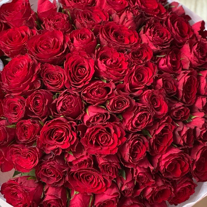 75 красная Роза Кения