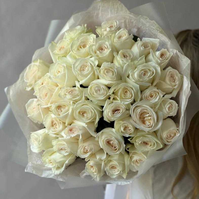 41 белая Роза «Вайт О’хара»